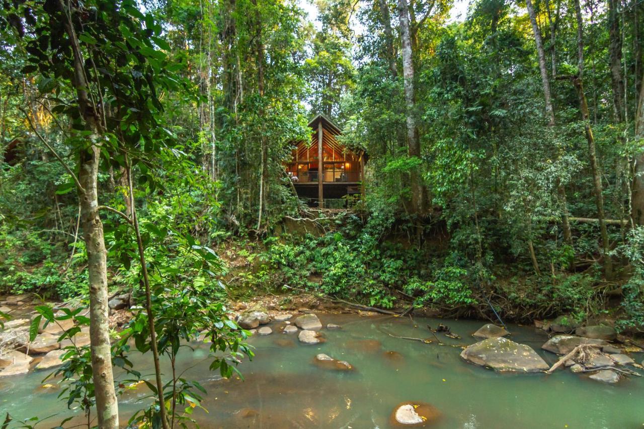 The Canopy Rainforest Treehouses & Wildlife Sanctuary Tarzali Exterior foto